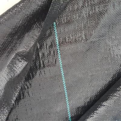 China Keep your garden and walkways free of weeds. Plastic PP Woven Fabric Agriculture Geomembrane Weed Block Fabric for sale