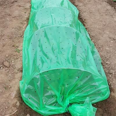 China Works as a mulch ground cover for seedlings and plants punched air holes mulch Agriculture Greenhouse Tunnel Poly Film PE Film Mini Tunnel Grow House Frame plastic tunnel for sale