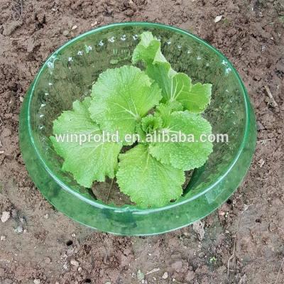 China Plant Cover with Collar Ring New Designed Plastic PET Garden Grow Slug and Snail Collars for sale