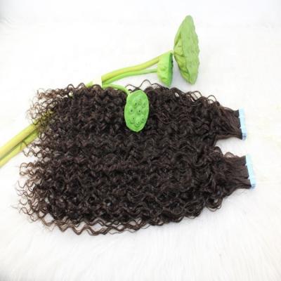 China Hot Selling Raw and Unprocessed Indian Curly Curly Tape In Hair Extensions Hair for sale