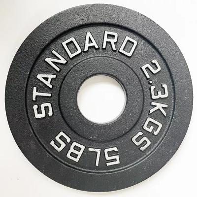 China Standard Commercial Use Gym Cast Iron Weight Disc Plate Cast Iron Bumper Plates Customized Logo 45LB for sale