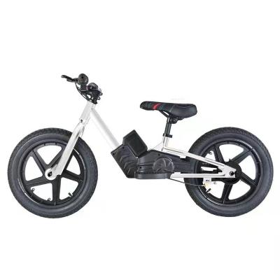 China 24V Motor Electric Bike Aluminum Alloy 24V Lithium Battery Balance Bike Te koop