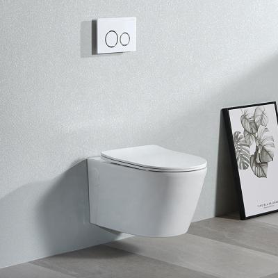 China Factory Supply Cheap Price High Quality Sanitary Ware Hidden Ceramic Wall Hung Toilet Cistern for sale