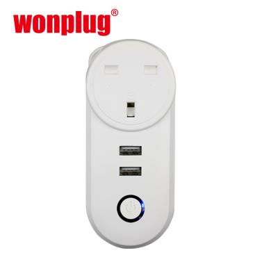 China Residential / Multi-Purpose India South Africa Japan Italy EU USA AU UK Swiss Wi-Fi Smart Plug With 2USB Voice Control Smart Wi-Fi Plug Wireless Socket for sale