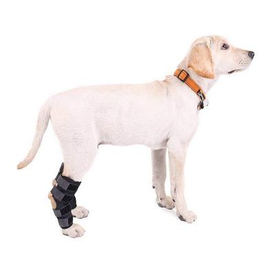 China 2020 Waterproof Best Price Neoprene Dog Leg Knee Brace, High Quality Knee Brace For Dog for sale