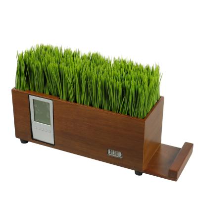 China Morden New Design Luxury Green Grass Plant Nuts Small Ornamental Solid Wood Wooden Loaded Decorations For Home for sale