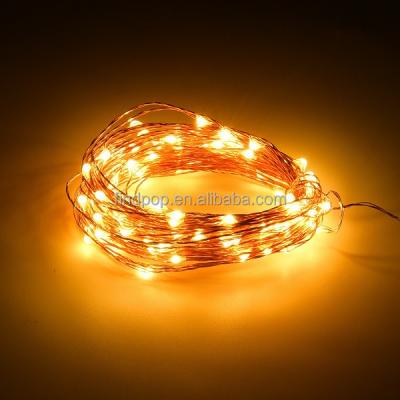 China Copper Wires Lively atmosphere lighting Dimmable Micro LED Copper Wire String Lights with 24 Keys IR Remote Controller for sale