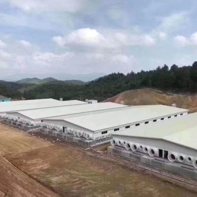 China steel structure fabrication pig house/shed/chicken construction poultry farm using PU PIR Insulation Sandwich Panel for sale