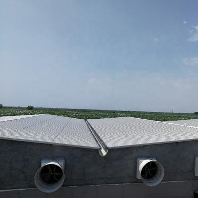 China Industrial Steel Structure Manufacture Chicken Poultry Shed Used In PU PIR Sandwich Panel for sale