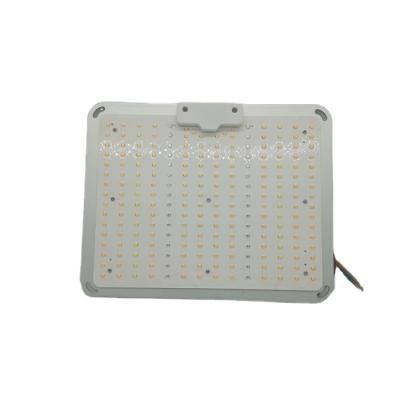 China Indoor Hydroponic Ultra High Luminous Efficacy Full Spectrum 660nm Led Grow Light Aunshine LED Grow Light for sale