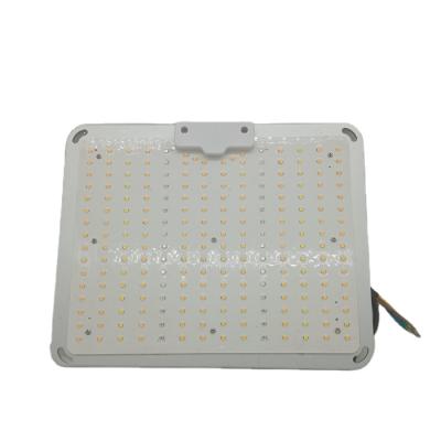 China Ultra High Efficiency Bright Greenhouse Grow Lamp Original LM301H LED Panel Led High Efficiency Dimmable 600 Watt Led Grow Lights for sale