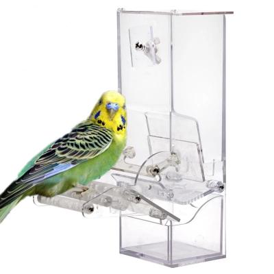 中国 Automatic Automatic Bird Feeder Parrot Seed Food Container Bird Cage Accessories Acrylic Feeder 販売のため