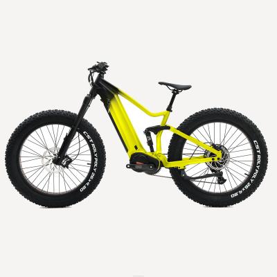 China 2022 New Ola Plus F Bike Full Aluminum Alloy Off Road MTB Bike 1000W Mid Motor Bafang M620 Ultra Ebike Suspension Sport for sale