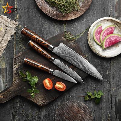 China 3PCS Viable vg10 Professional 67 Layers Damascus Knife Set Pakka Handle Wood Chef Knife Set Damascus for sale