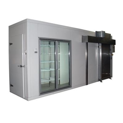 China Walk In Freezer Supermarket Commercial Glass Door Display Cold Room For Meat Frozen Food Container Walk In Freezer Cod Storage Showcase for sale