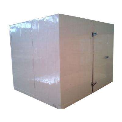 China Air Blast Freezer Low Temperature Quick Freezer Cold Storage Container Insulated Room for sale