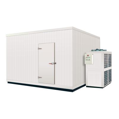 China 40ft eco-friendly container cold room for storing food. for sale