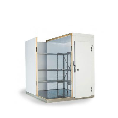 China food & Beverage Factory Mini Cold Refrigerator Storage Room for Vegetable and Fruit Cold Room for sale