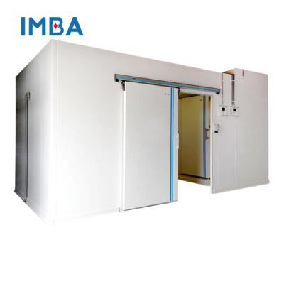 China Container Customized Cold Room For Fruit Storage Cold Room Fresh Seafood Blast Freezer For Sale for sale