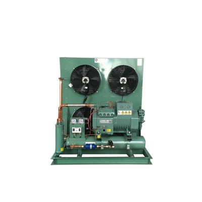 China Container Compressor 60hz Compressor Made In China Coolest Brand Can Be Used In Cold Rooms for sale