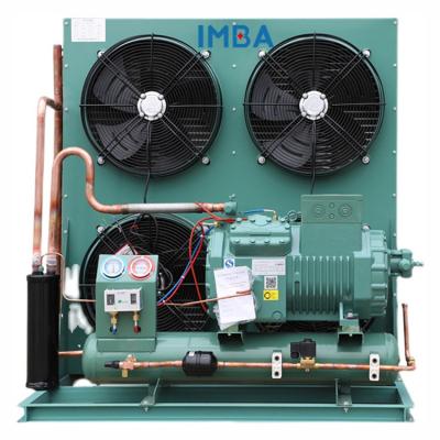 China Cold Room Cold Room Unit Compressor Cold Storage Room Frozen Food Fruit Condensing Warehouse for sale