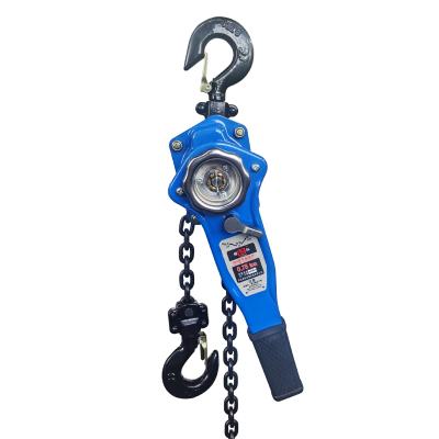 China Small Winch Manufacturer Lifting Accessories Lever Block Traction Elevator A1 Manual Lifting Chain Hoist for sale