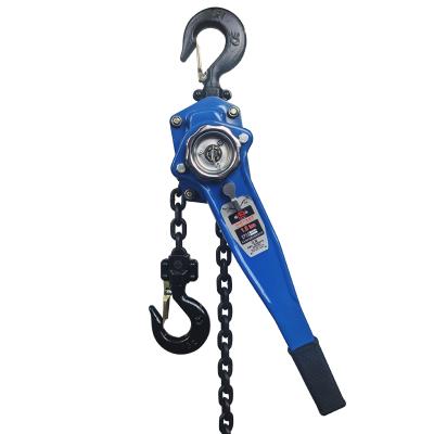 China Series Pull Elevator Hand Chain Block Manual Chain Hoist With Factory Price Crane Hoist Electric Safety Factor Chain Block A1 for sale