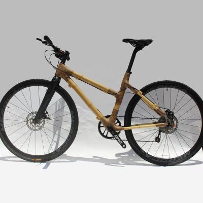 China Bamboo Gravel Bicycle Road Dsc Bike Carbon Fiber Naturefly Full Speed ​​1x10 Gravel Bike for sale