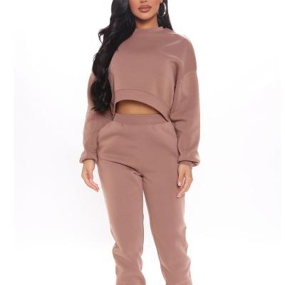 China 2022 New Arrival Spring Long Sleeve Fleece Viable High Quality Women Terry Cropped Casual Customized Cozy Two Piece Set for sale