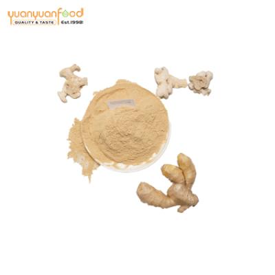 China Dried dried ginger powder for ginger tea or medicine for sale