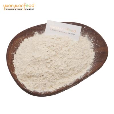 China Dried Horseradish Powder 80-100 100-120 Mesh for sale