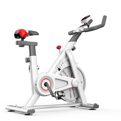 China Adjustable Magnetic Resistance Flywheel 8kg Heavy Exercise Speeding Magnetic Spining Bike for sale