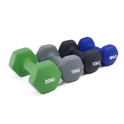 China 2021 Easy To Take Cheap Colorful Hand Weights 3Lb Cast Iron Neoprene Dumbbell Anklet Zhejiang Women Dumbbell for sale