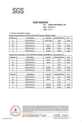  - Shandong Dingcheng Liye Materials Co., Ltd