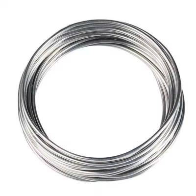 China Stainless Steel Spring Wire for Springs and Decoration Processing Service Cutting for sale