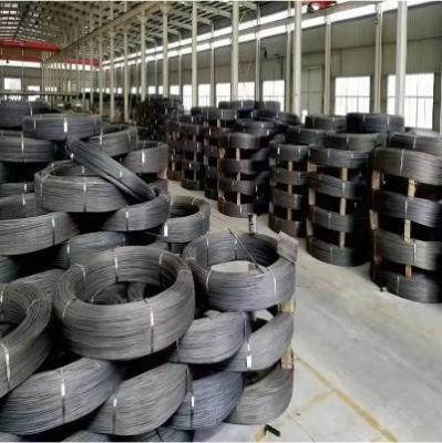 China Control and Assurance Services Fine Stainless Steel Wire with SAE1080 Steel Grade for sale