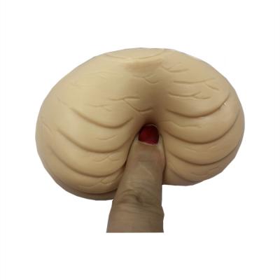 China Promotional Soft Funny Gift Novelty Toys Soft Funny Gift Ball Testicle Strain Toy TPR Testicle Model Toys for sale