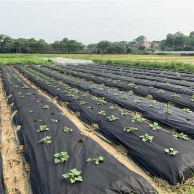 China Waterproof Nonwoven PP Weed Control Mat and Garden Fleece Antifreeze Plant Blanket Agriculture Plant Blanket for sale