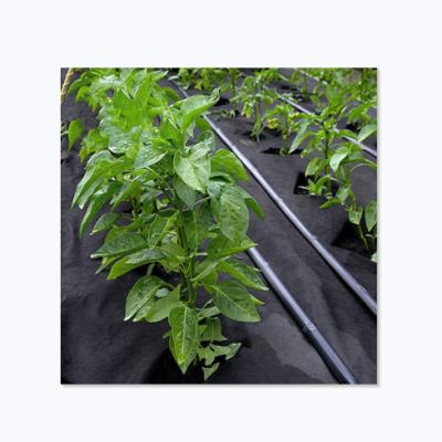 China Non Woven Waterproof PP Mulch Non Woven Fabric Agriculture Products Non Woven Weed Mat for sale