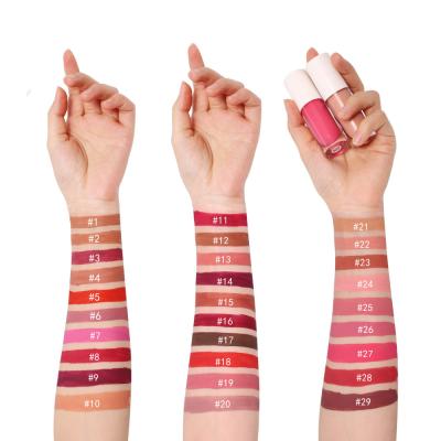 China Waterproof Professional Private Label Lip Gloss Matte Lipstick Long Lasting Container With Great Price for sale