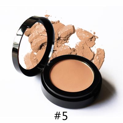 China Plastic sunscreen brande makeup easy-to-mix powder blush for wholesales for sale