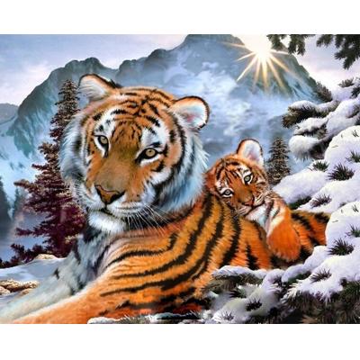 China Animal World Digital Tiger Oil Painting Abstract DIY Color Painting Decorative Hand Painted Oil Painting for sale