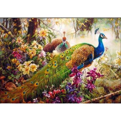 China Modern In Diy Oil Painting Running Peacock Custom Painting By Numbers for sale