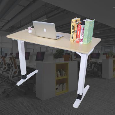 China Cappellini Adjustable Workstation Motorized Lift Desk 120cm*60cm*140cm for sale