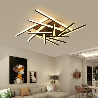 China Surface Mounted Modern Decorative Acrylic Ceiling Lamp Creative Outdoor Mounted Living Room LED Home Light Fixture for sale