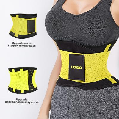 China Weist Trimmer With Custome Logo Waist Trainer Belt Sweat Waste Waist Trainer Weast Waister Lumbar Support Protector for sale