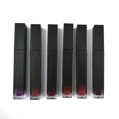 China No Logo Tube Long Lasting 40 Colors Matte Lipstick Gloss for sale