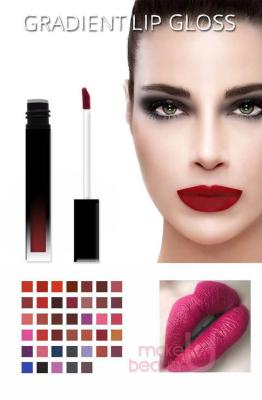 China Women Herbal Matte Lip Gloss , Lip Gloss Over Matte Lipstick for sale