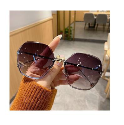 China Fashion Sunglasses Best Price Top Quality Personalized Classic Roller Sunglasses for sale