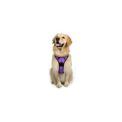 China Reflective China Custom Made Polyesterpet Harness No Pull Luxury Dog Leash Set Dog Harness Pet for sale